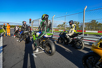 Advanced Group Green Bikes